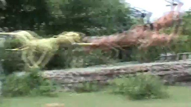 Chita sculpture catching deers Ramakrishna Beach horbour Vishakhapatnam Vizag SKMClasses Subhashish