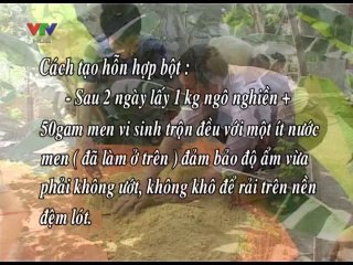 Đệm lót sinh học cho vật nuôi