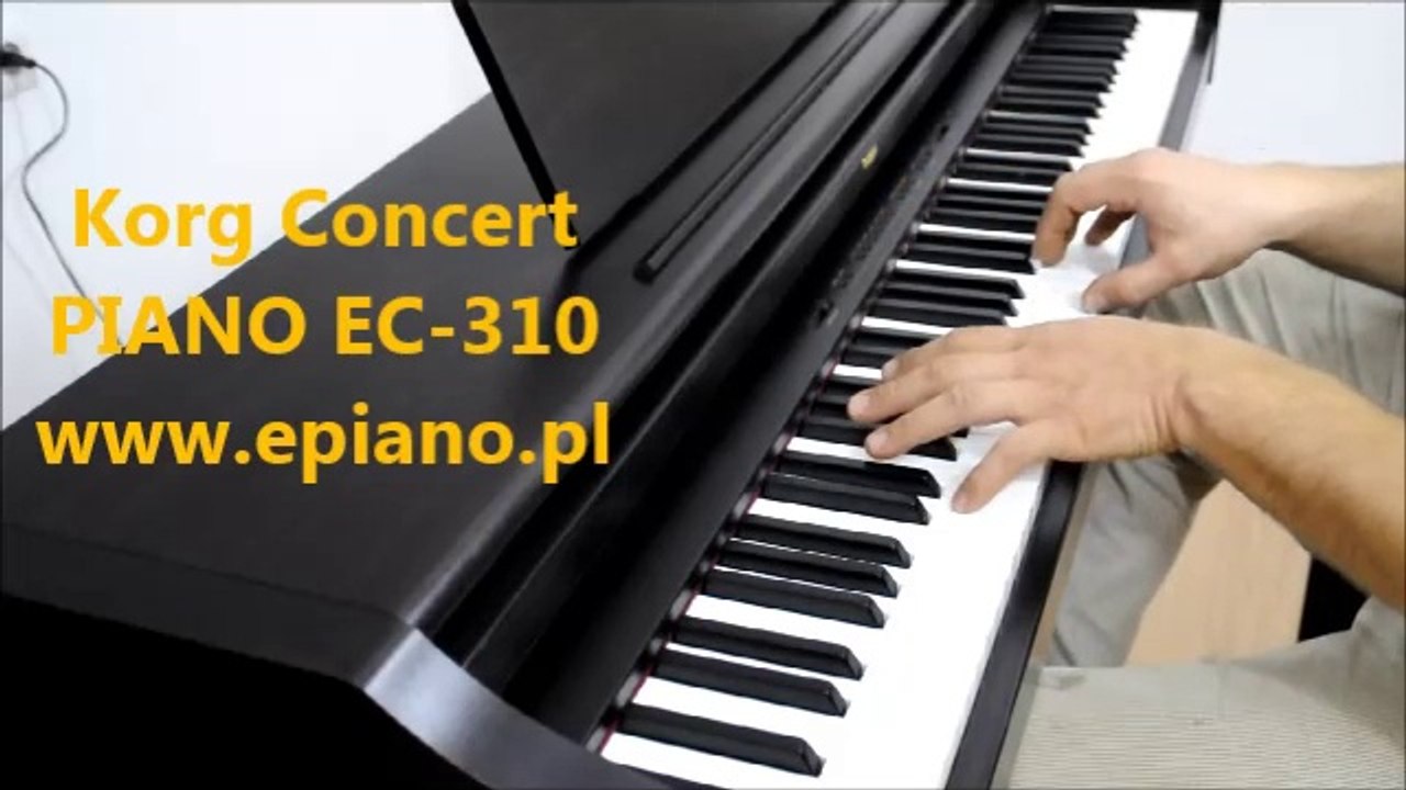 korg EC-310 nasz test