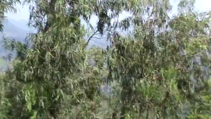 Hawa point only for traffic jam en route to Araku SKMClasses Subhashish 2