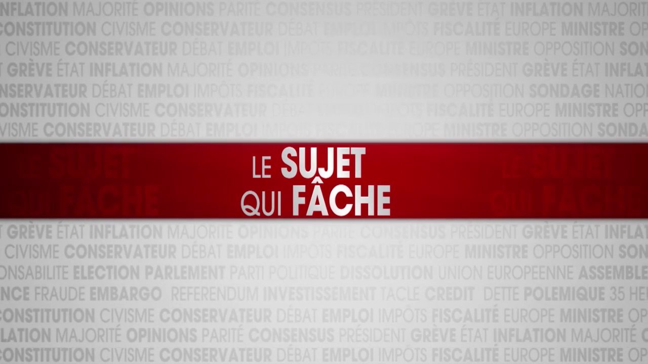 Duel Beytout/Joffrin : Quel avenir pour la manif pour tous ? « La gauche caricature toujours ses adversaires»