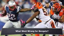 Morrison: Bengals Thrashed by Patriots