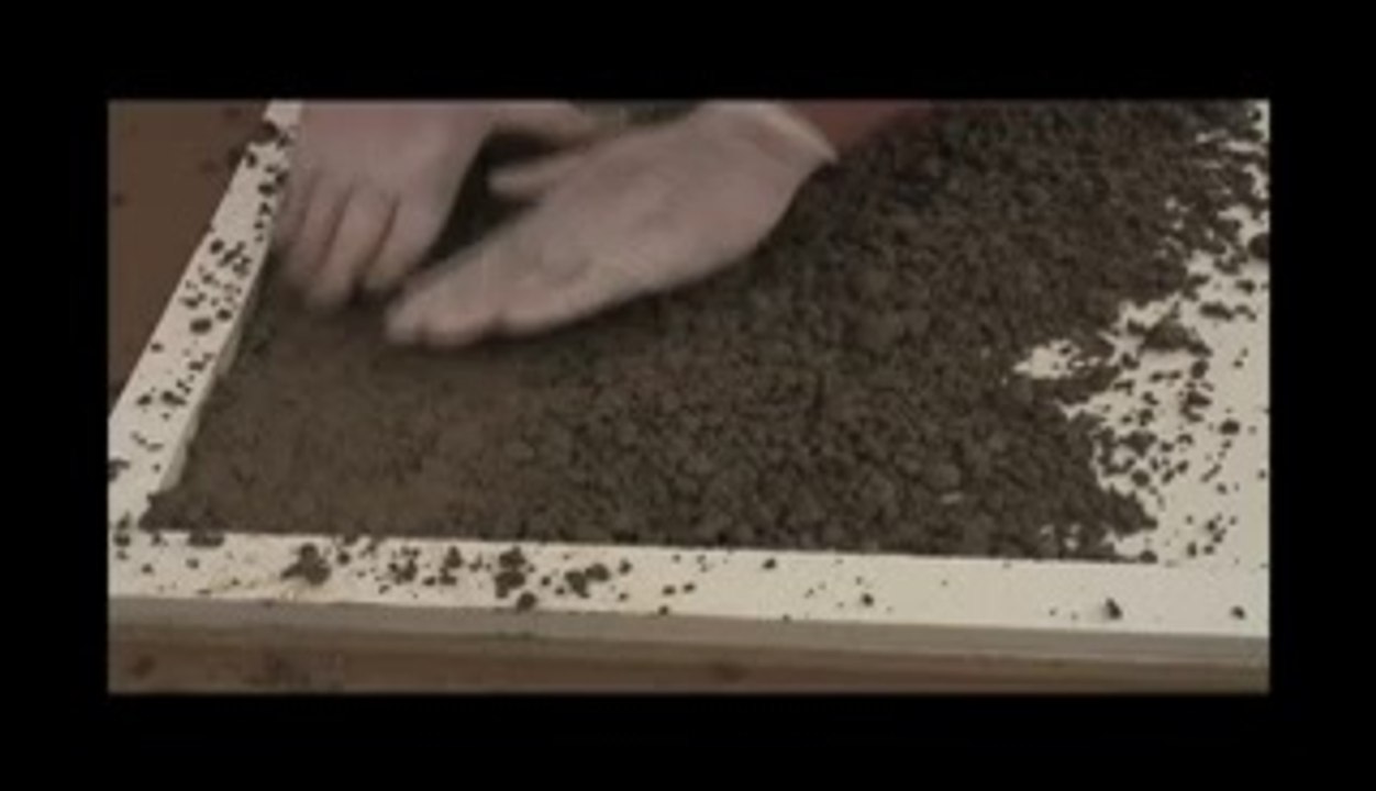 Stone Mold