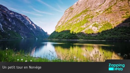 La Luge donne des ailes