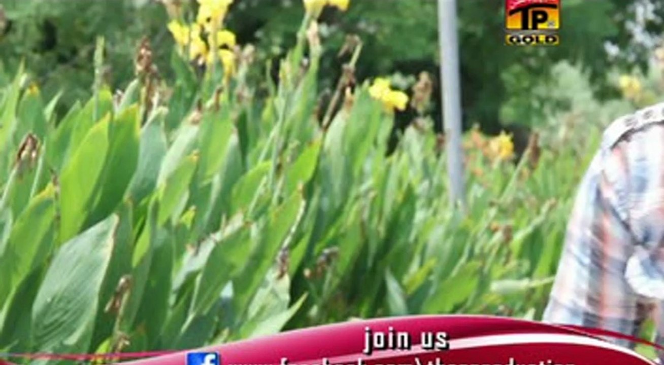 Dholy Dil Bana Ky Bhaija Hy by Mushtaq Cheena 0333.8905568