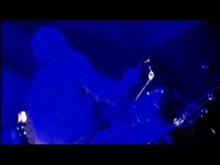 Girls In Hawaii Dead bird song