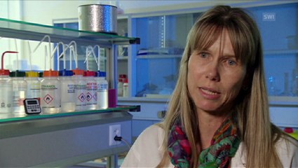 Oil absorbing sponge: research aids fight against oil pollution