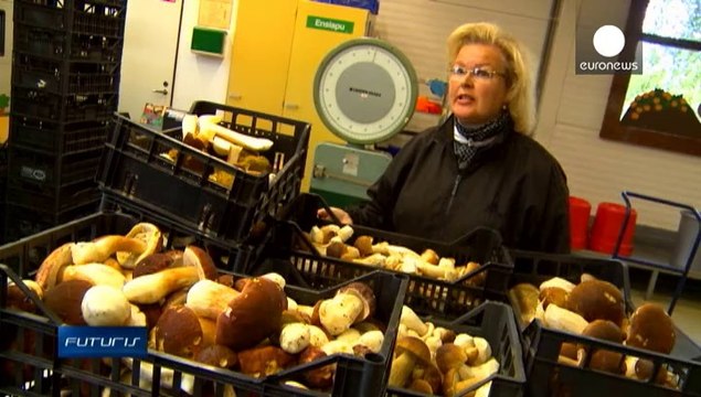 Гроші, що ростуть під деревами