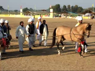 Prince Malik Ata with 1 of his dancing horses
