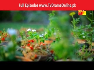 Mausam Full Episode 20 Part 3 Hum Tv 3 October 2014