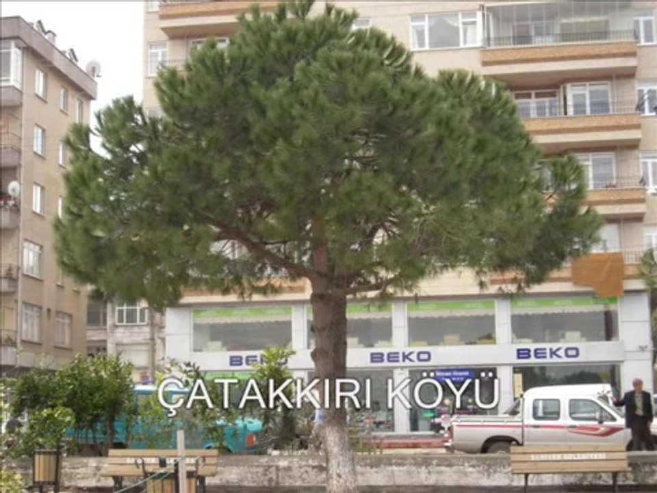 güngör yıldız......KURDUN YUVALARINI-AYDIN GÜNER