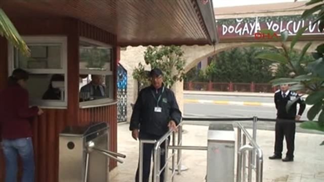 Gebze Sibirya Kaplanı ile Ziyaretçiler Arasında Halat Çekme Mücadelesi