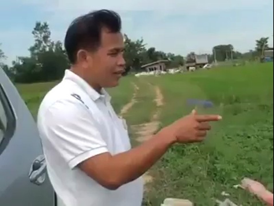 amezing fish linch time