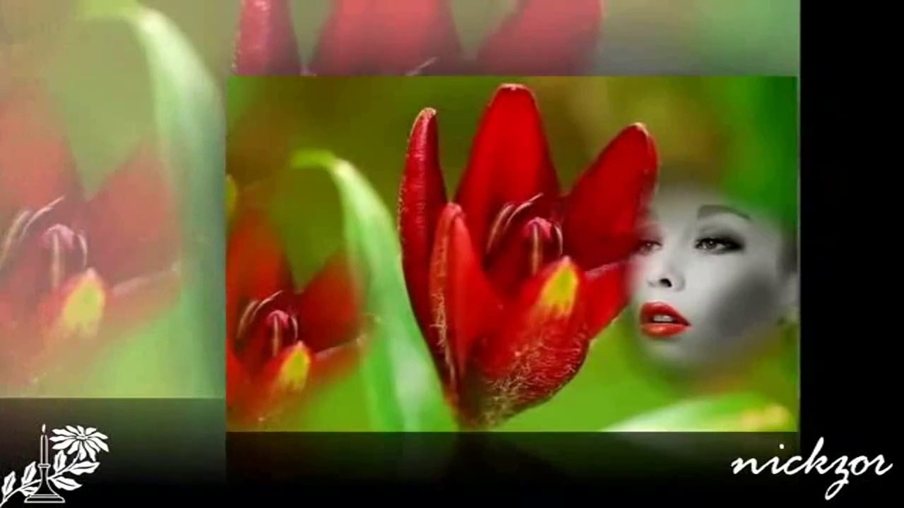 Belkıs Özener - Artık Sevmeyeceğim