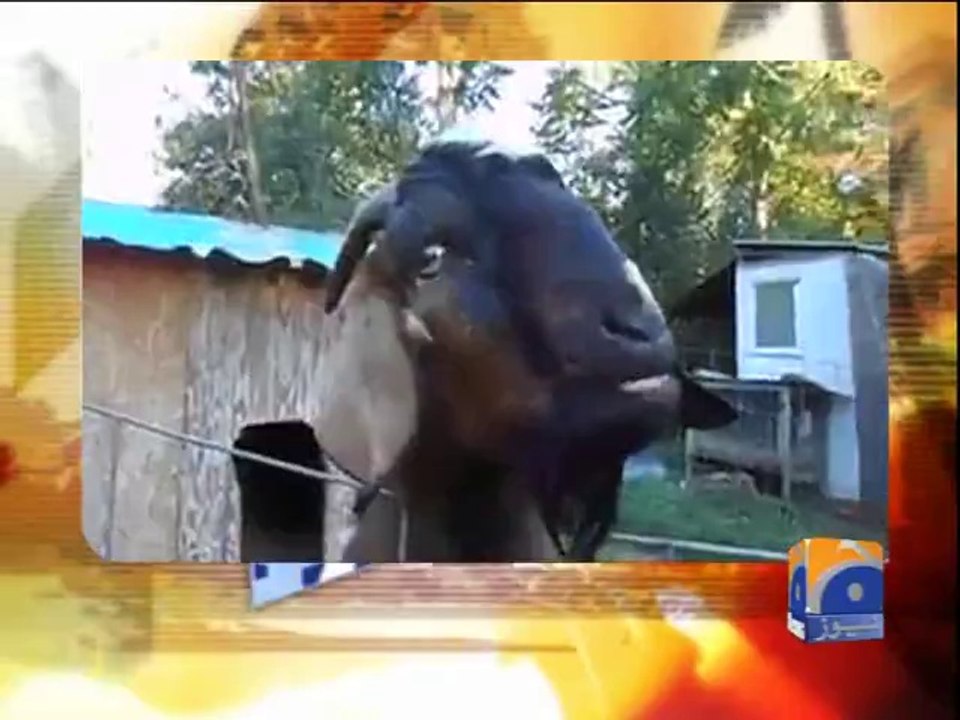 Geo Dost-06 Oct 2014