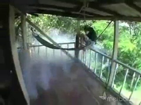 Pétards et gueule de bois.