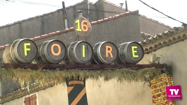 La foire des pommes, du vin et du riz à Aigues Vives, fête les produits de l'étang de Marseillette Dimanche 12 octobre.
