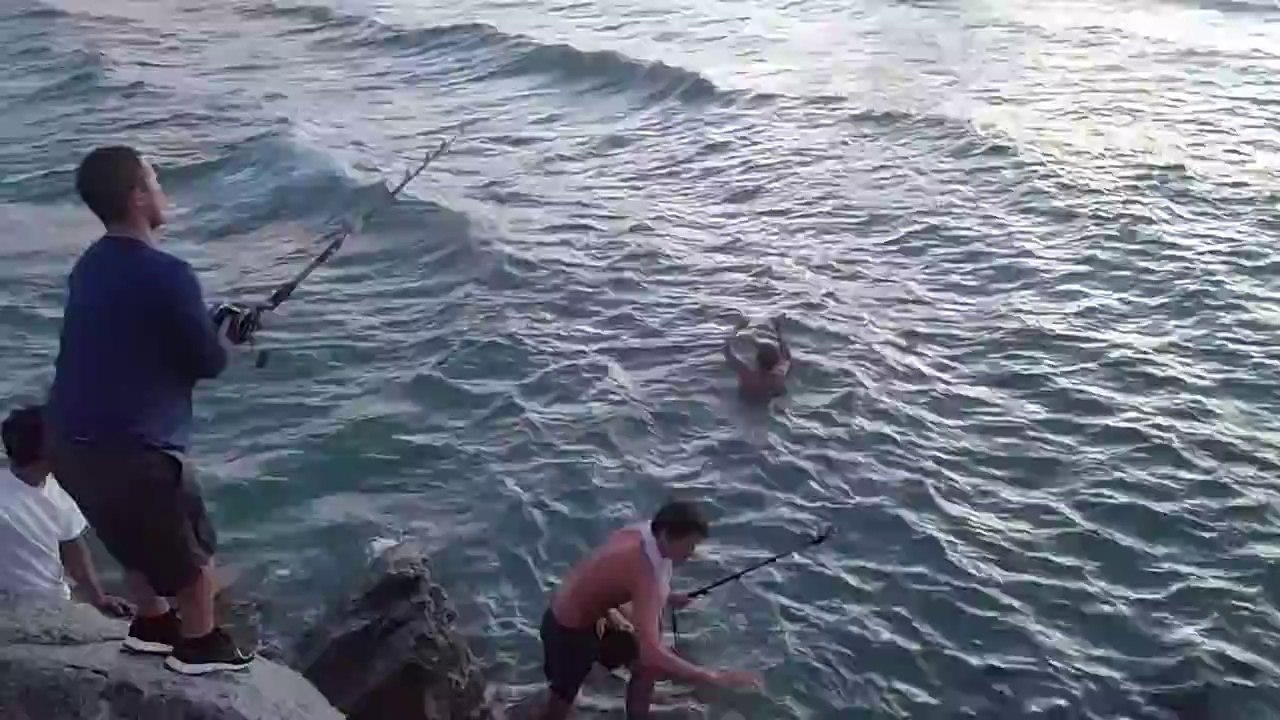 Il se jette à l'eau pour attraper un requin