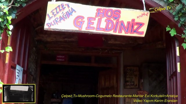 Çelpez.Tv-Mushroom-Cogumelo Restaurante-Mantar Evi Korkuteli=Antalya