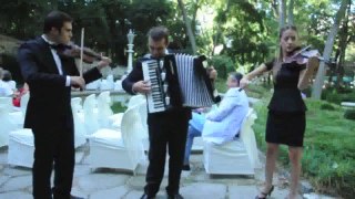 Düğün Orkestrası Highlife Muzik