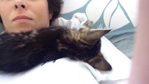The Snoring Kitten Video (funny cat/kitty with cold sleeping on my face)