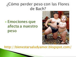 ¿Cómo perder peso con las Flores de Bach?