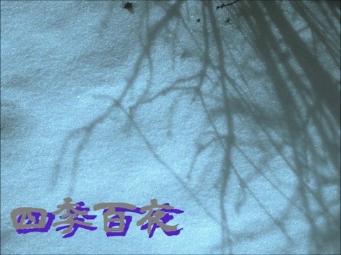 【四季百夜】冬の蛇　robin【冬】 - ニコニコ動画 GINZA