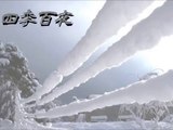 【四季百夜】滑走　こたろー【冬】   ニコニコ動画 GINZA