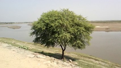 Villagers Crossing River Ravi on a Boat