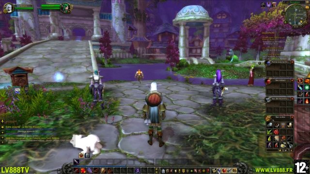 Les chroniques d'une Guérrière dans WOW - Episode n°7 - Le gouffre de Ragefeu - LV888 TV