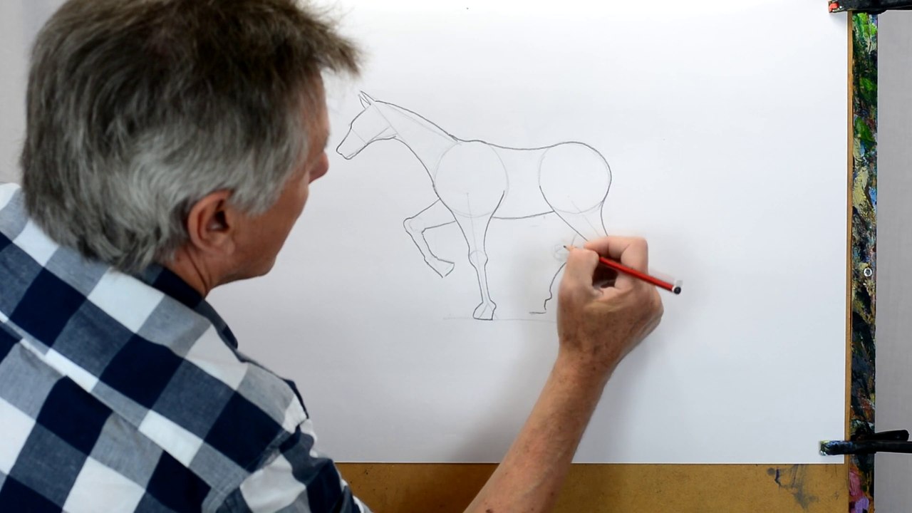 How to Draw a Horse simply