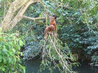 Marquises_Maxime et les enfants dans la riviere