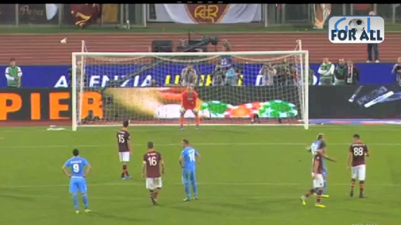 Roma-Napoli 2-0 serie A 2013-2014  (EFFETTO STADIO)