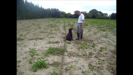 Stop à distance puis gauche et droite
