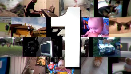 TOP 5 DOG VIDEOS #34.