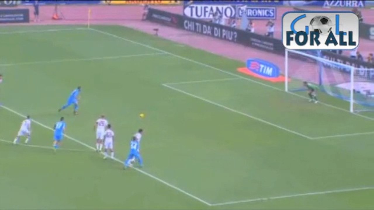 Napoli-Torino 2-0 serie A 2013-2014 (EFFETTO STADIO)