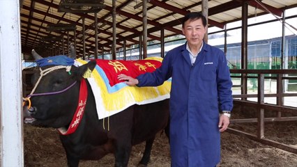 TEASER STEAK RÉVOLUTION le film