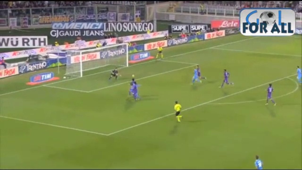 Fiorentina-Napoli 1-2 serie a 2013-2014 (EFFETTO STADIO)