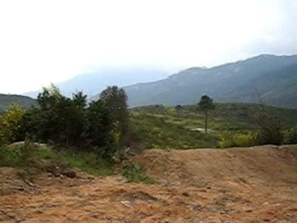 Ucchiani frèd