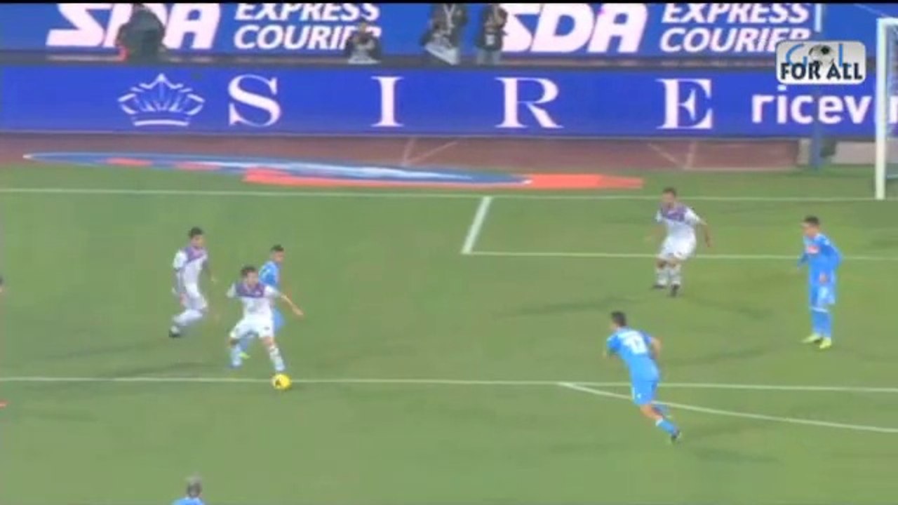 Napoli-Catania 2-1 serie A 2013-2014  (EFFETTO STADIO)