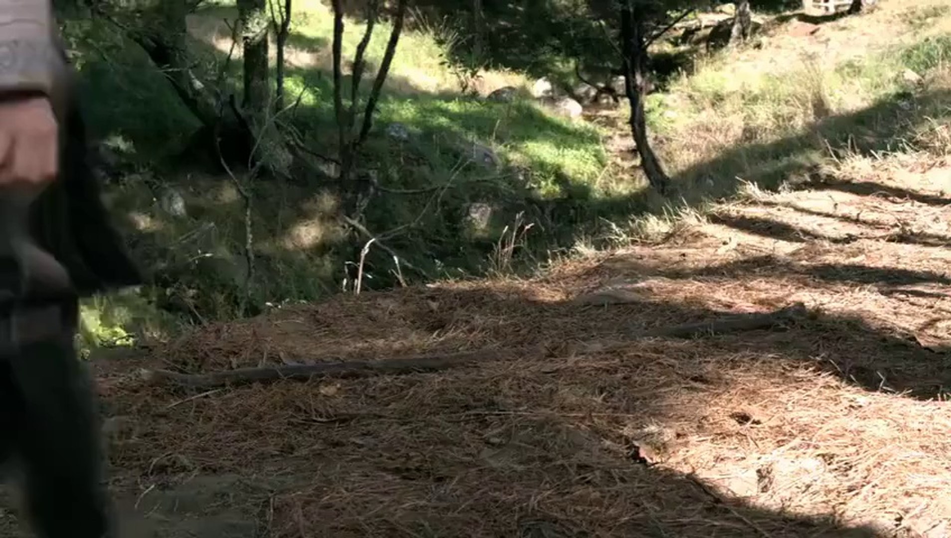 S2 Legend of the Seeker - 19 Extinction