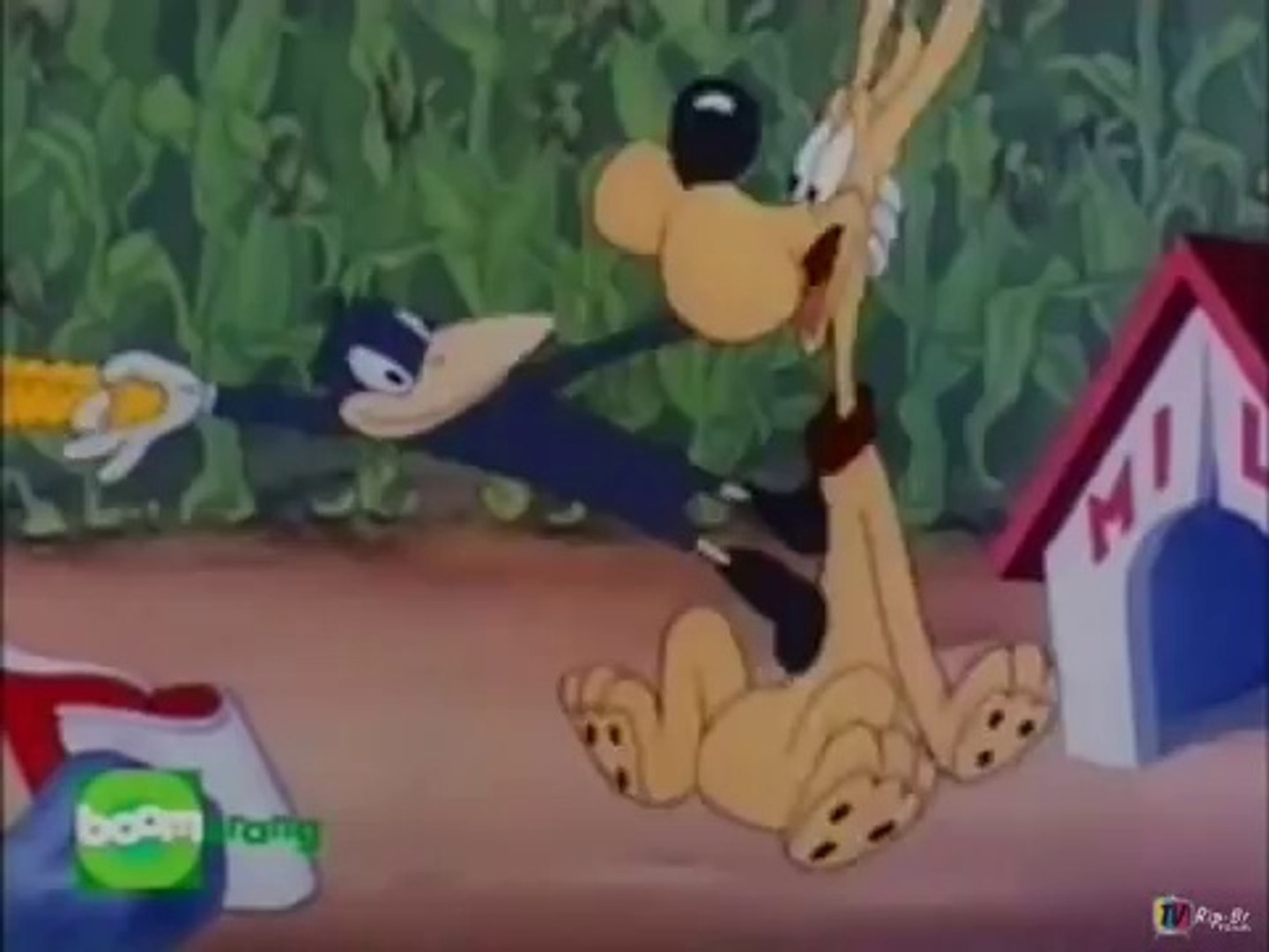 Turma do Pica-Pau - Andy Panda - Corvo Maluco (1945)