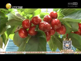宝宝抱抱 《宝宝抱抱》20141006 往期宝宝合辑