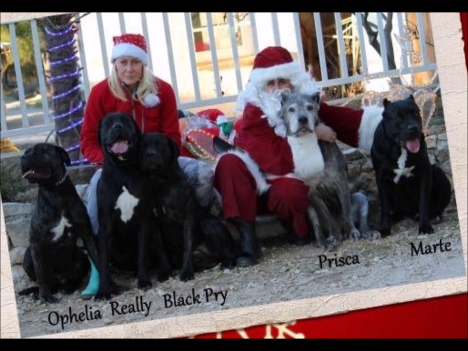 Hommage à ma Really