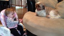 Baby STILL argues with Dog