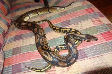 Truths About Satanism You Need to Know