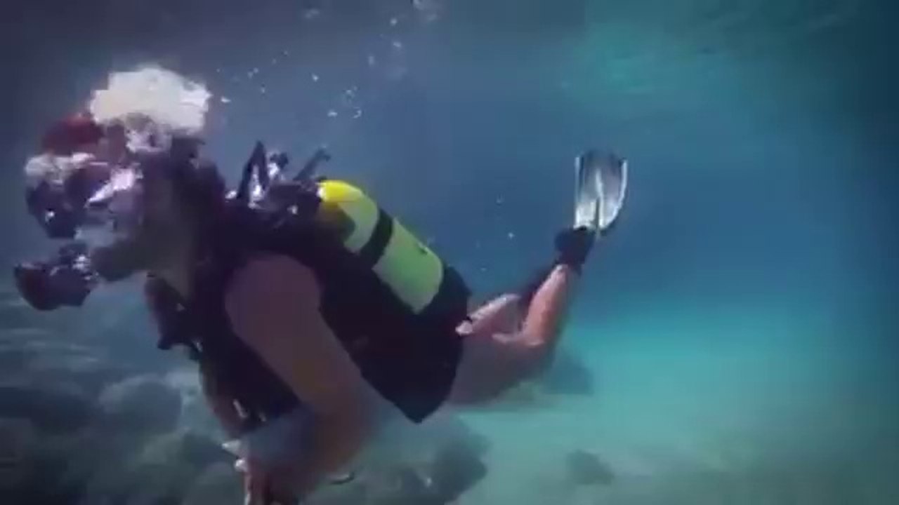 Underwater go Nawaz go