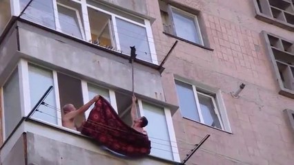 Sauver un bébé chat suspendu dans le vide!