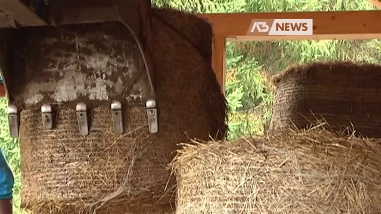 MALTEMPO E BUROCRAZIA, AGRICOLTURA IN DIFFICOLTA'