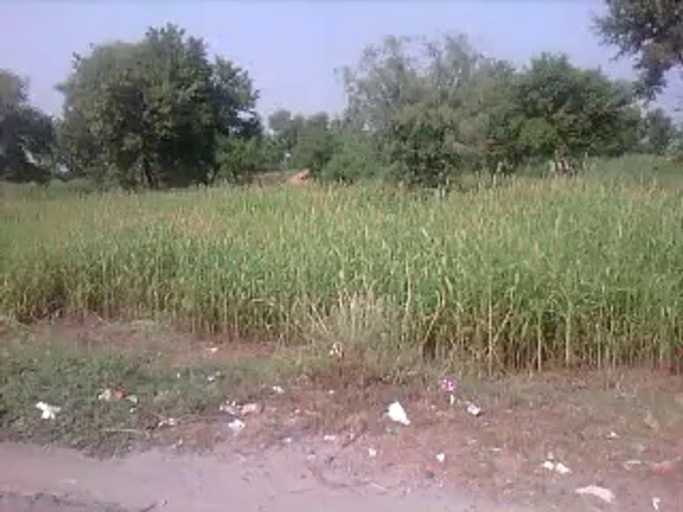 Chidru Khel Mianwali